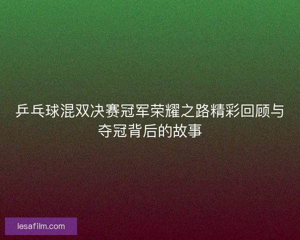 乒乓球混双决赛冠军荣耀之路精彩回顾与夺冠背后的故事